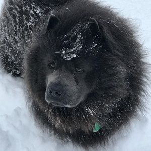 Meet your Posher, Margit